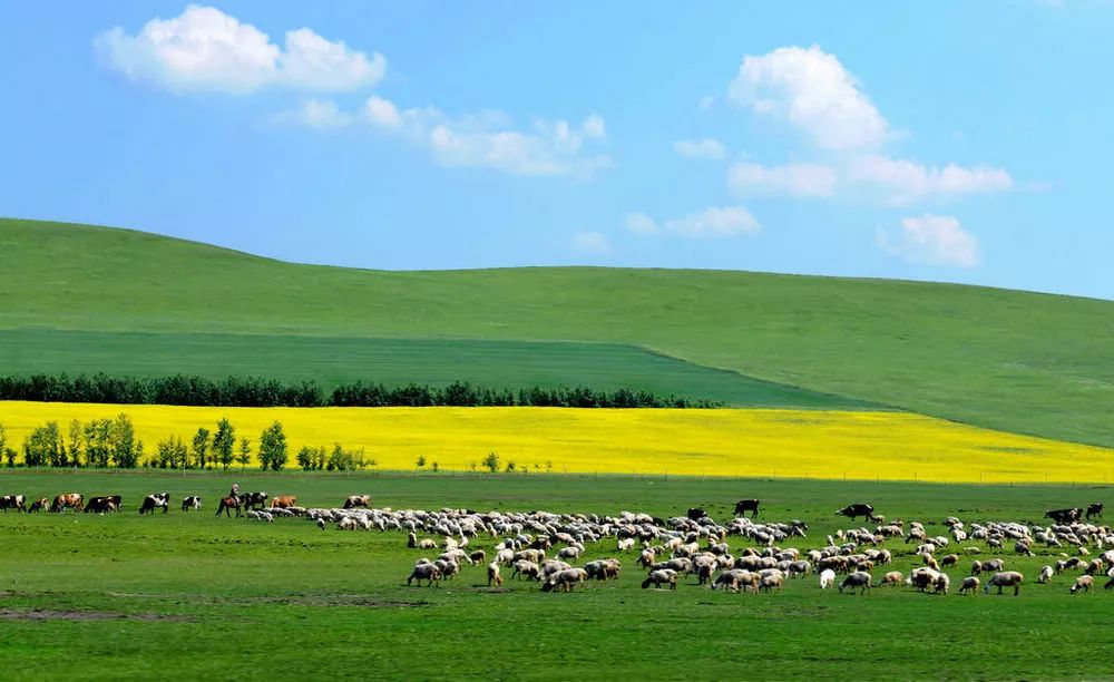 内蒙古草原之声，唤起心中的草原情