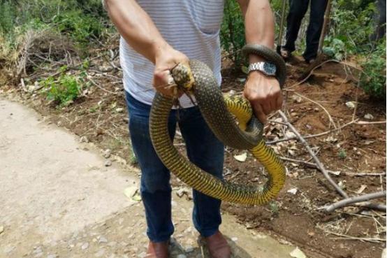 河南，梦想之地映照下的奇迹蜕变