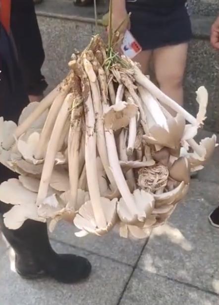 贵州，深度解读与评论文章