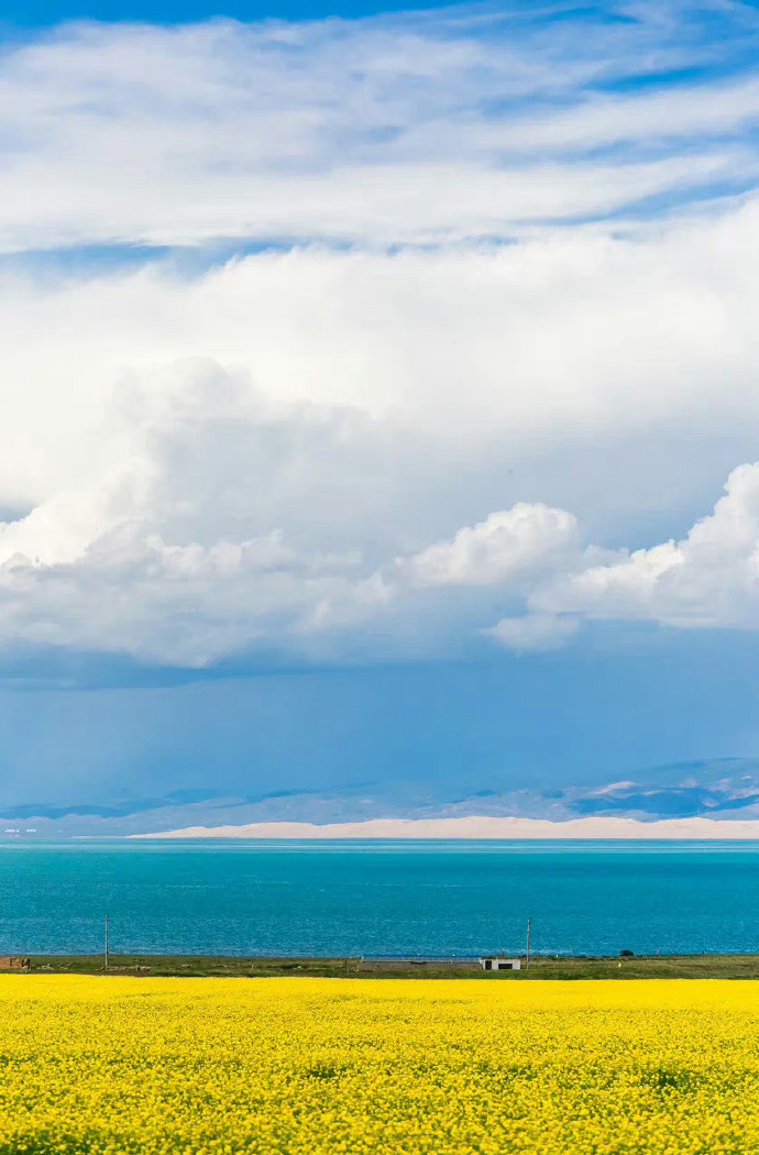 青海，绿色发展引领者，生态经济双赢之路