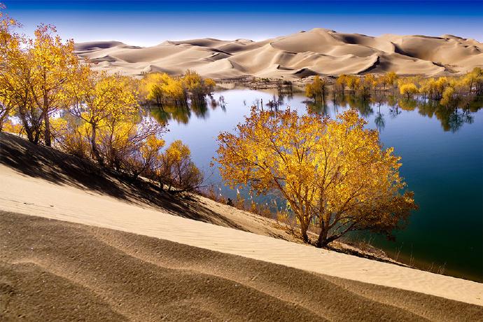 新疆，领导与朋友共聚的尊贵时刻